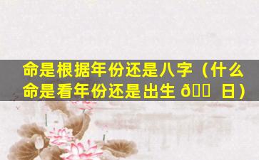 命是根据年份还是八字（什么命是看年份还是出生 🐠 日）